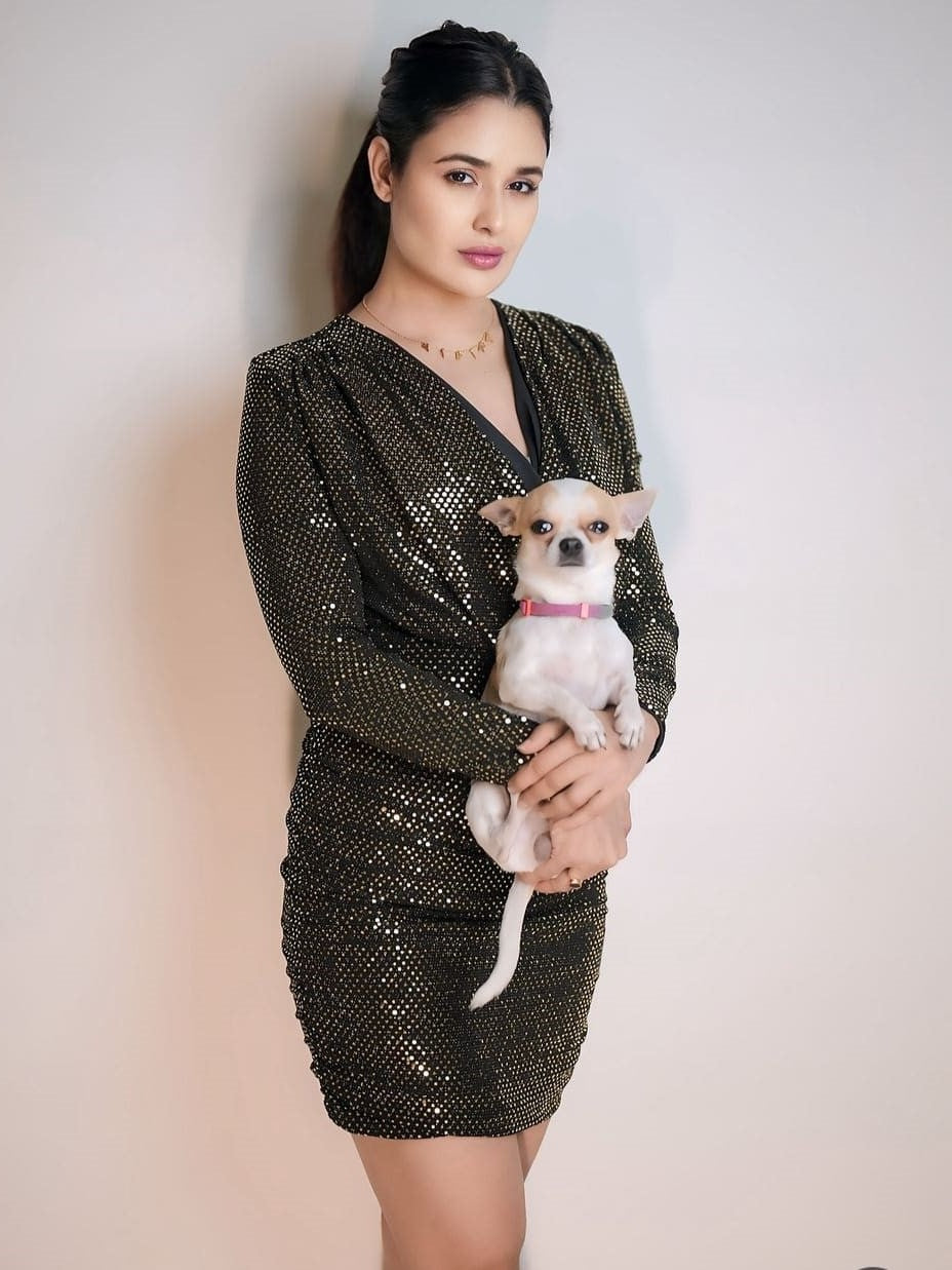 Hot Ruched Long Sleeve V Neck Black Sequin Dress