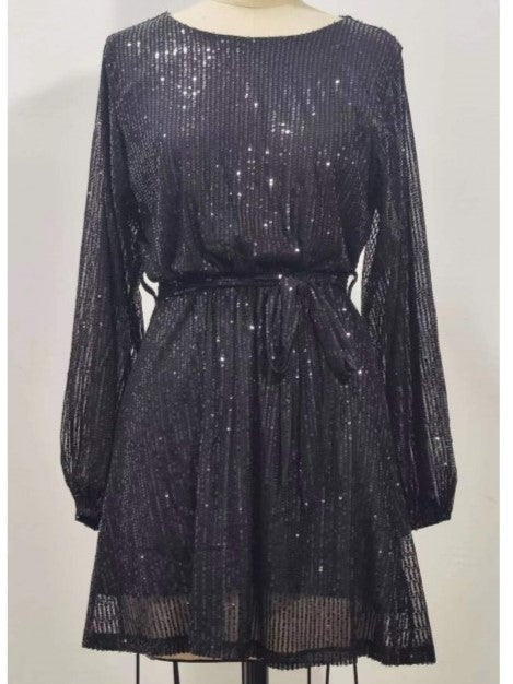 Stylish Sequin Loose Long Sleeve Dress