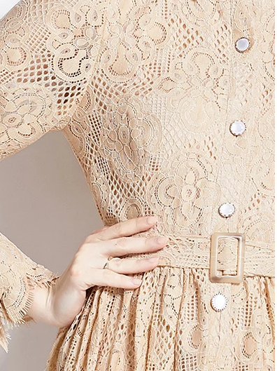 Retro Lace A Line Single Breasted Dress