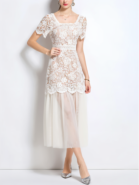 Beautiful Lace Mesh Short Sleeve High Waist Apricot Dress