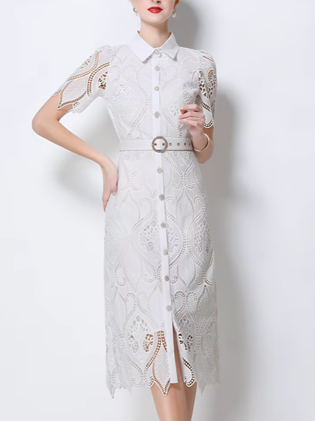Charming Peter Pan Collar Single Breasted Short Sleeve White Lace Dress