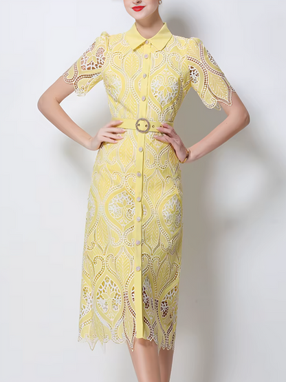 Charming Peter Pan Collar Single Breasted Short Sleeve Yellow Lace Dress