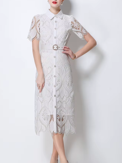 Charming Peter Pan Collar Single Breasted Short Sleeve White Lace Dress
