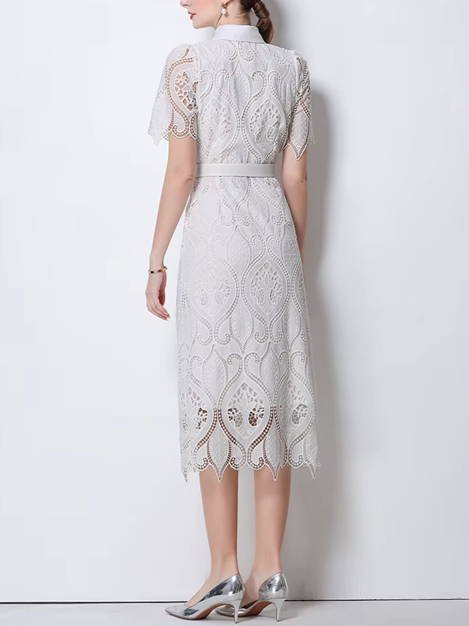 Charming Peter Pan Collar Single Breasted Short Sleeve White Lace Dress