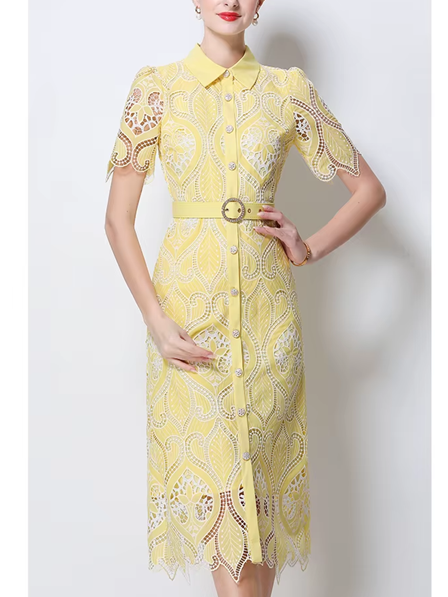 Charming Peter Pan Collar Single Breasted Short Sleeve Yellow Lace Dress