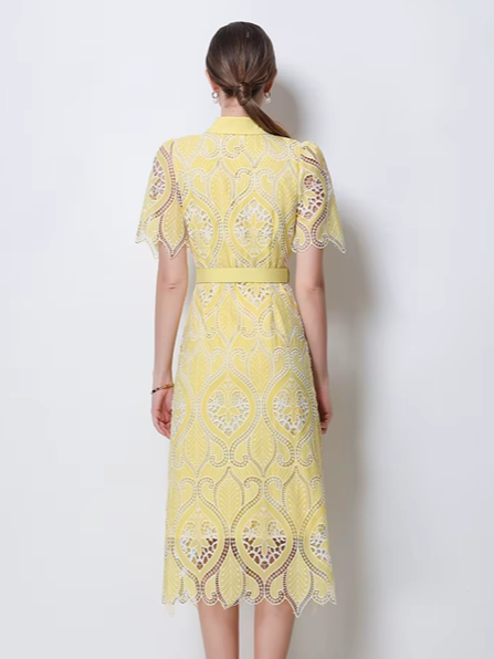 Charming Peter Pan Collar Single Breasted Short Sleeve Yellow Lace Dress