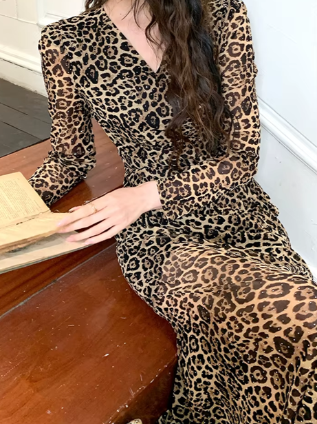 Chic Leopard Print V Neck Long Sleeve Bodycon Dress
