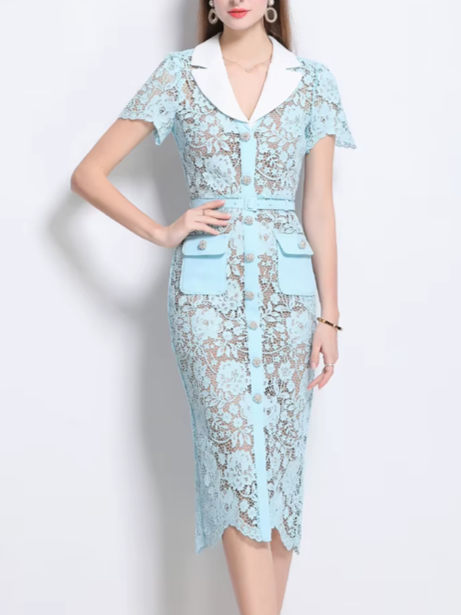 Classy Lace Lapel Short Sleeve Single Breasted Slim Pencil Dress