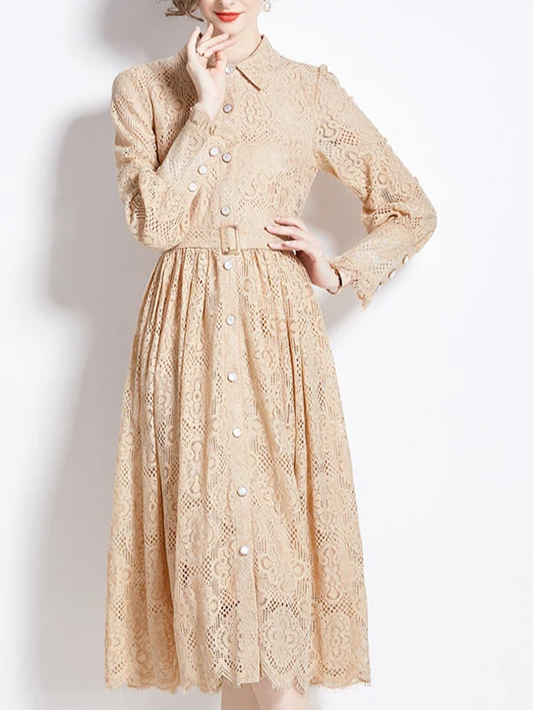 Retro Lace A Line Single Breasted Dress