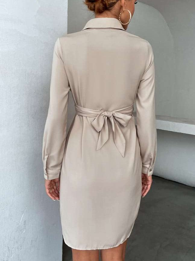Simple Long Sleeve Khaki Dress