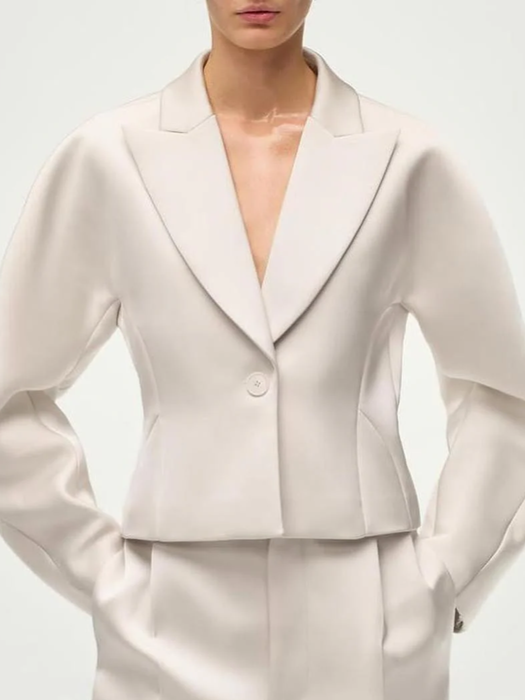 Splendid Short Puff Blazer With Wide Leg Pants Set
