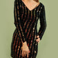Shimmer Black Sequin V Neck Mini Dress
