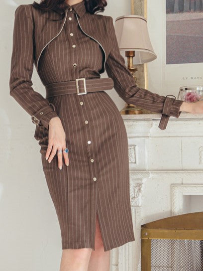Corporate Fashion Striped Single Breasted Brown Bodycon Pencil Dress